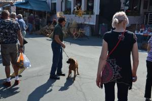 Sejem križani četrtek 10.05.2018 68